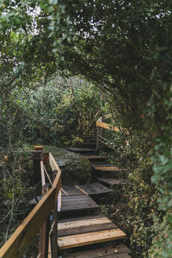Live In The Woods Vila Mikhmannim Exterior foto