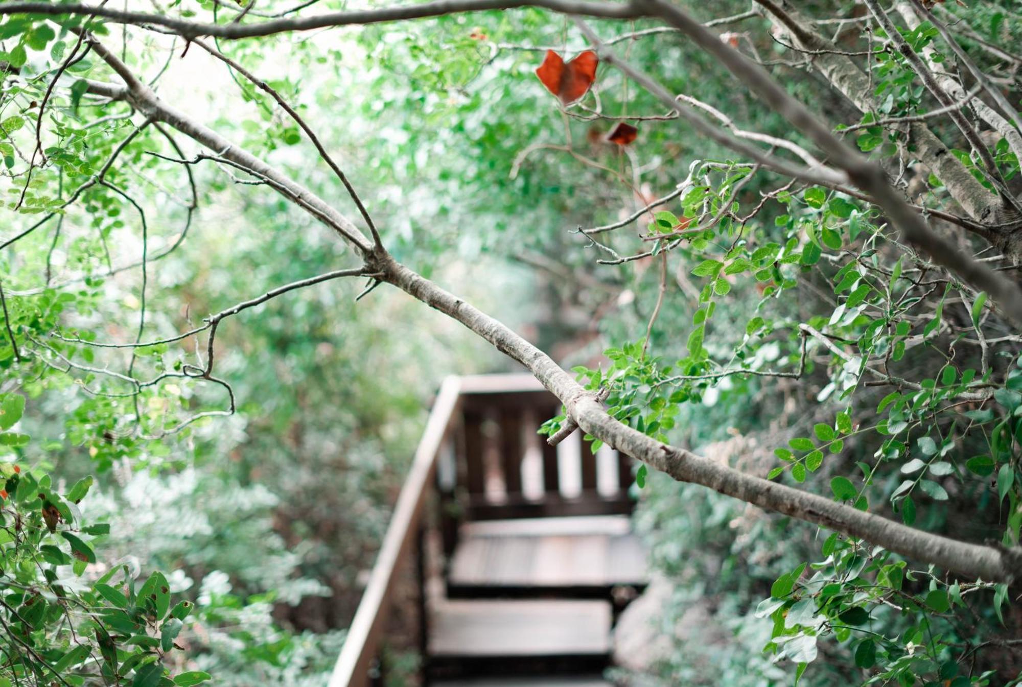 Live In The Woods Vila Mikhmannim Exterior foto